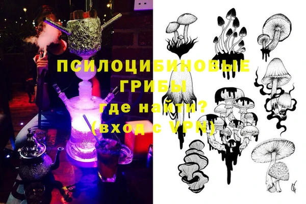 шишки Карпинск