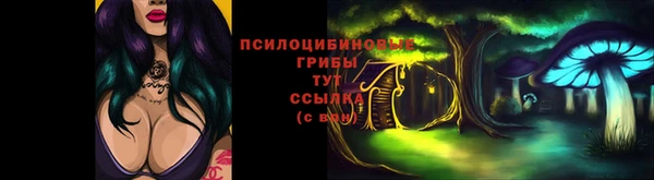 индика Уссурийск