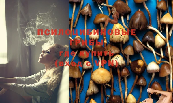 mix Касимов